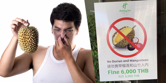 Отправляемся за фруктами в Нячанге: Дуриан – король фруктов или ароматный кошмар? Отправляемся за фруктами в Нячанге: Дуриан – король фруктов или ароматный кошмар?