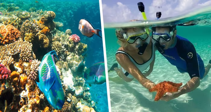 Гуляем по Шарм-эль-Шейху: Ras Mohammed National Park - где пустыня встречается с морем