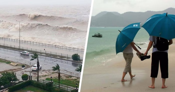 Самый смертоносный тайфун в Азии обрушился на Вьетнам: российские туристы прячутся в отелях Самый смертоносный тайфун в Азии обрушился на Вьетнам: российские туристы прячутся в отелях